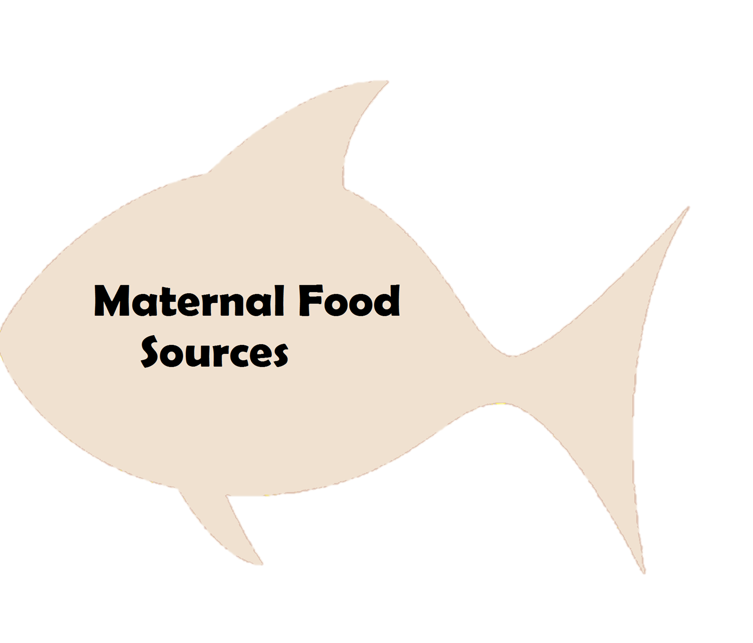 Maternal Food Sources in Bubble